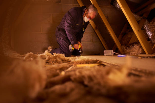 Best DIY Insulation Kits and Guidance in Rutherford, PA